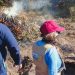 Profepa inhabilitan hornos de carbón vegetal en inmediaciones en La Malinche, Tlaxcala