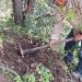 El Parque Nacional Cumbres de Monterrey restaura ecosistemas afectados por incendios forestales