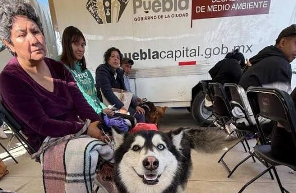 Pepe Chedraui impulsa el bienestar animal en Puebla