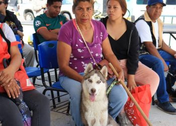 Pepe Chedraui impulsa jornadas de bienestar animal en distintas colonias de Puebla