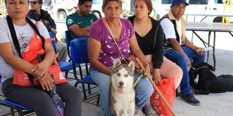 Pepe Chedraui impulsa jornadas de bienestar animal en distintas colonias de Puebla