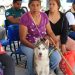 Pepe Chedraui impulsa jornadas de bienestar animal en distintas colonias de Puebla