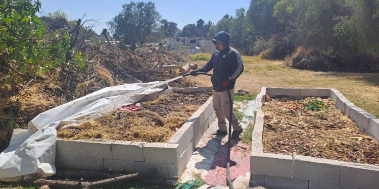 Impulsa Gobierno de Pepe Chedraui proyecto de lombricomposta en la capital