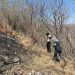 Incendio forestal en Jolalpan fue controlado y liquidado al 100 por ciento: Protección Civil