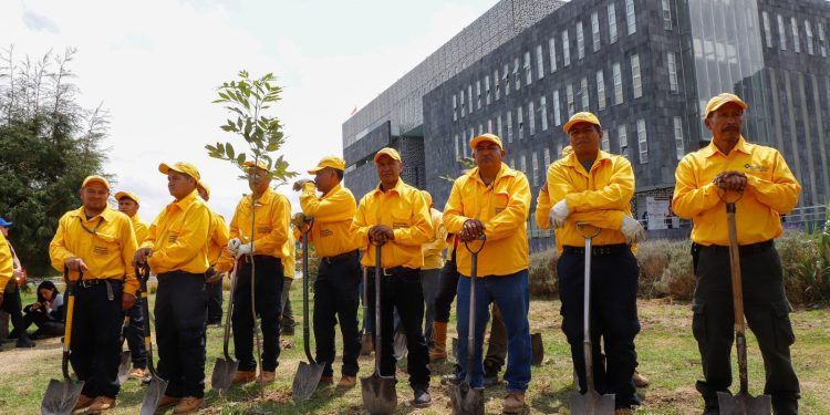 Gobierno Estatal y ambientalistas fortalecen bosque urbano del CIS