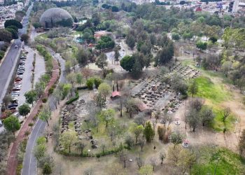 Inicia reforestación urbana en CIS y Parque Ecológico; la meta son 10 mil árboles
