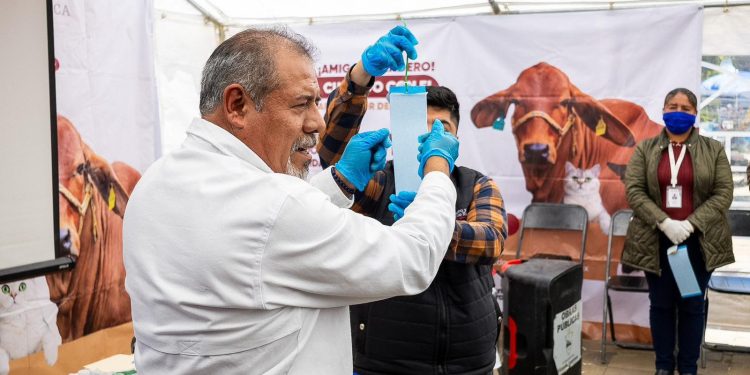 Refuerza Gobierno Estatal prevención del gusano barrenador en la Sierra Negra