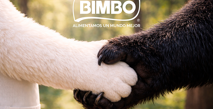 Semarnat y Grupo Bimbo firman convenio para fortalecer la conservación del oso negro mexicano