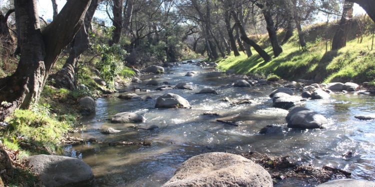 Refrenda CEASPUE compromiso con garantizar derecho humano al agua