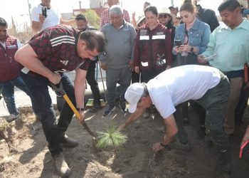 Refuerza Puebla capital su reforestación con 100 mil árboles