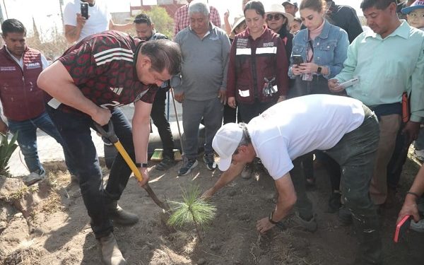 Refuerza Puebla capital su reforestación con 100 mil árboles