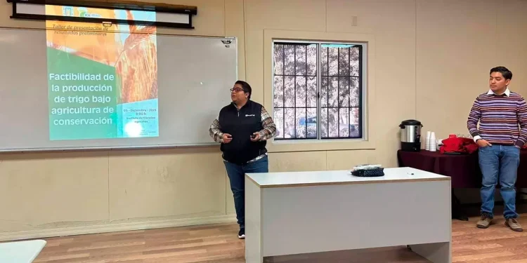 UABC: “Factibilidad de la producción de trigo bajo agricultura de conservación”