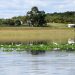 Restauración del Atoyac y Valsequillo, eje de justicia social y ambiental en Puebla