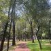 Preservar los parques ‘Juárez’ y Ecológico: un llamado ante el proyecto de cablebús en Puebla