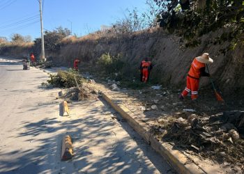 Gobierno de Pepe Chedraui fortalece la imagen urbana con intervención en Bulevar Carmelitas
