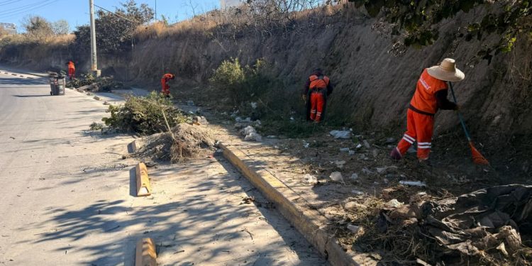 Gobierno de Pepe Chedraui fortalece la imagen urbana con intervención en Bulevar Carmelitas