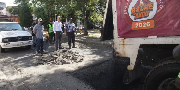 Supervisa Pepe Chedraui cuadrillas de bacheo en El Carmen