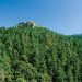  Día Internacional de los Bosques