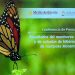 Presencia de la mariposa Monarca aumenta 64% en los bosques de hibernación mexicanos