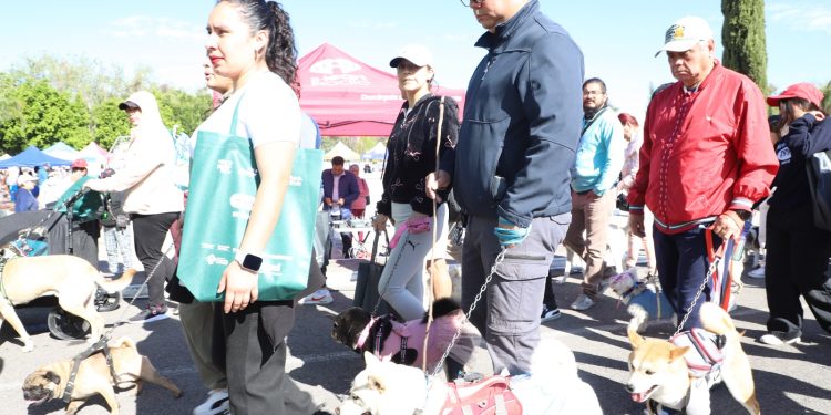 IBA impulsa tenencia responsable en “Caninata” en Parque Ecológico