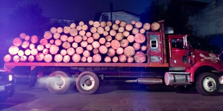 Detienen fuerzas de seguridad a dos hombres por daños al medio ambiente
