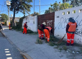 Refuerza Gobierno de Pepe Chedraui limpieza integral en accesos principales de la ciudad