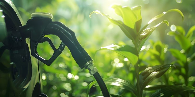 En 2050, consumo mundial de energía crecerá 43% y emisiones CO₂ un 22%: Conferencia IBERO