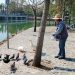 Patos y otras especies del Parque Ecológico gozan de buena salud: Bienestar Animal