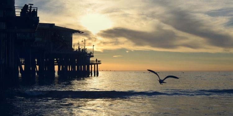 Daño microscópico del petróleo, el más grave en costas del Golfo: Académico IBERO