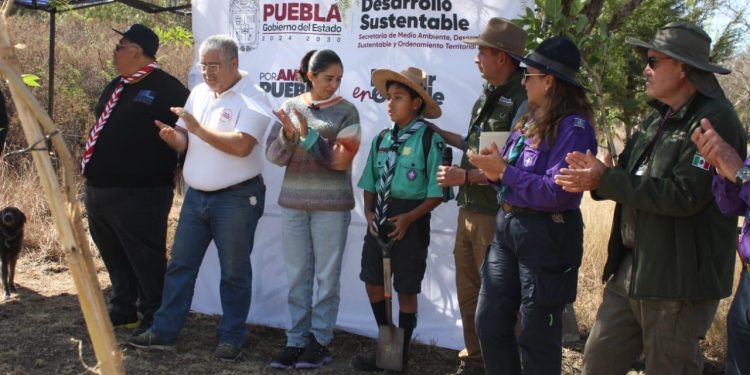Gobierno de Puebla, fundaciones y población reforestan Parque Bicentenario