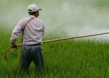 «Zonas de sacrificio»: experto denuncia la injusticia ambiental en México