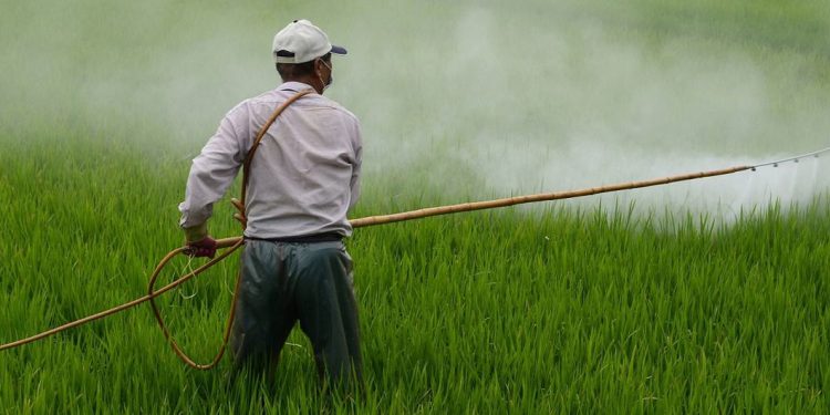 «Zonas de sacrificio»: experto denuncia la injusticia ambiental en México