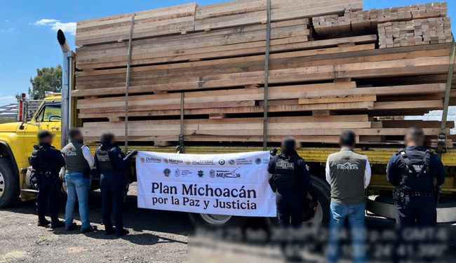 Operativo en Michoacán contra la tala ilegal: 14 detenidos, más de 500 m³ de madera y 25 vehículos asegurados