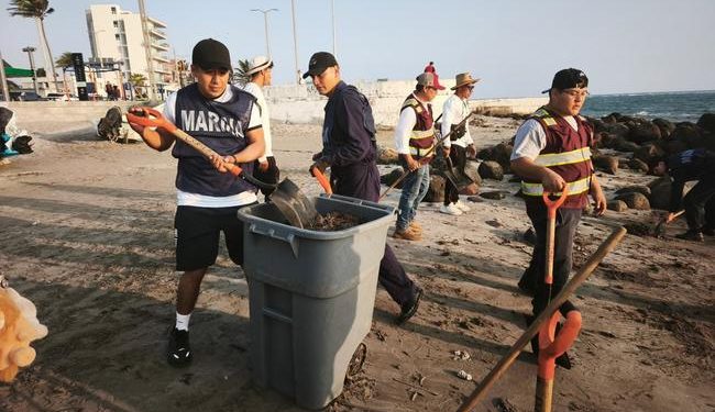 Gobierno de México atiende presencia de hidrocarburos en playas del Golfo de México
