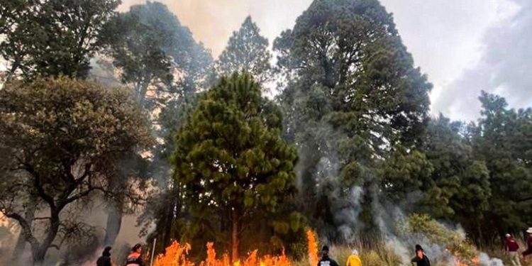 SSP Estatal coordina extinción de cuatro incendios en Tepatlaxco, Puebla y Tlachichuca