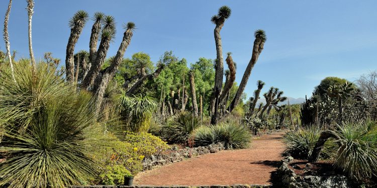 Semana Mundial del Suelo