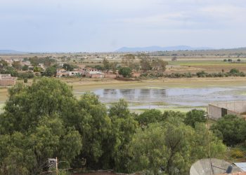 Sistemas xerorribereños carecen de protección en región Altos Norte