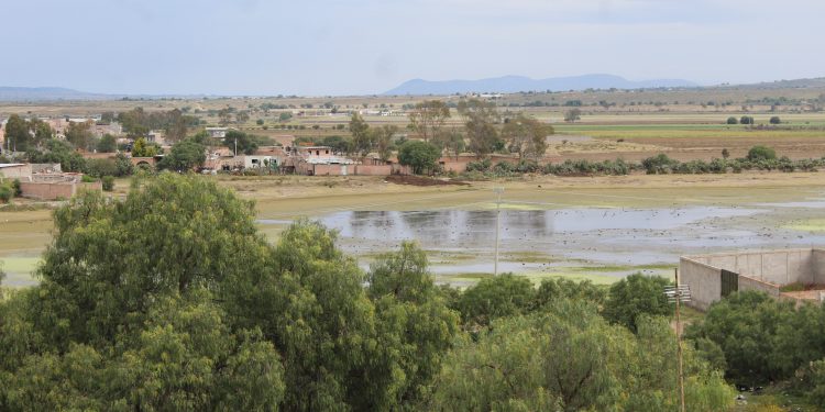 Sistemas xerorribereños carecen de protección en región Altos Norte