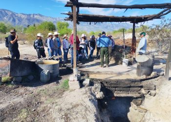 Estudiantes de la Universidad de Chapingo analizan planta en desierto de Coahuila