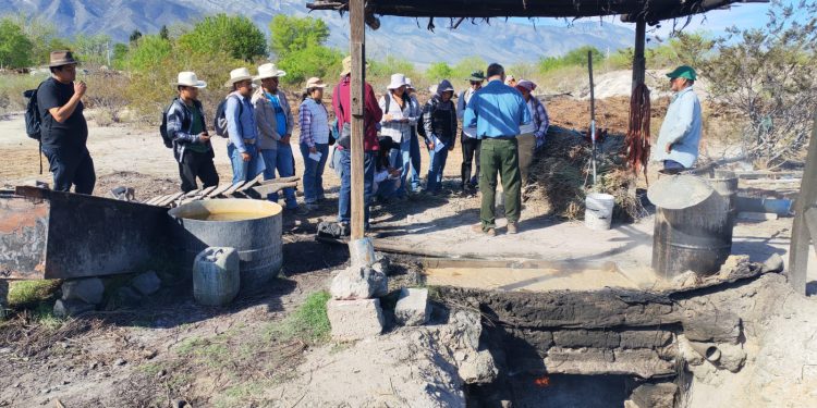 Estudiantes de la Universidad de Chapingo analizan planta en desierto de Coahuila