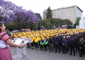 Convocan en CDMX a proteger 88 mil hectáreas de Suelo de Conservación