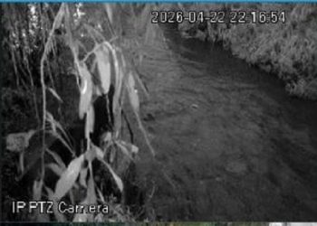 Gobierno de Municipal prioriza la supervisión de afluentes ante lluvias