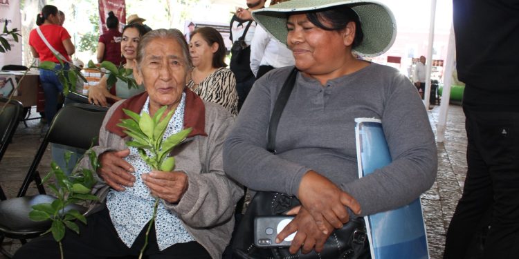 Acerca gobierno estatal capacitación y asesoría en Jornada Ciudadana en Atlixco