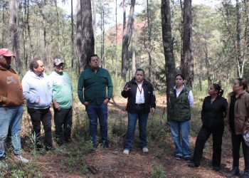 Inicia rescate de manantial y manejo de residuos en Santa Rita Tlahuapan