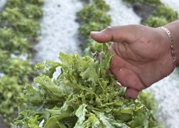 Gobierno de Puebla atiende emergencia por lluvias, sin riesgo para la población