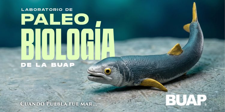 Laboratorio de Paleobiología de la BUAP, evidencia de vida del pasado