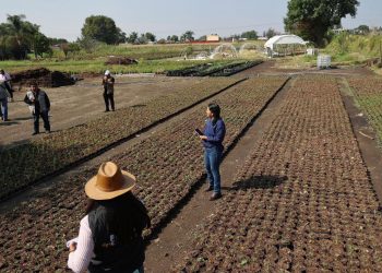 Gobierno de Puebla atiende afectaciones por granizada en Atlixco