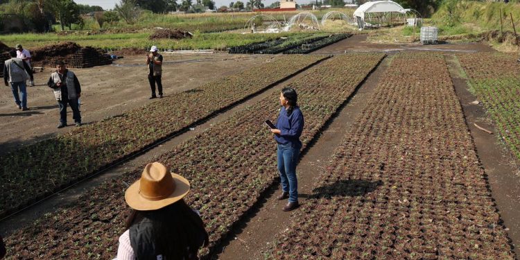 Gobierno de Puebla atiende afectaciones por granizada en Atlixco
