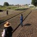Gobierno de Puebla atiende afectaciones por granizada en Atlixco