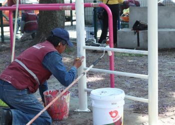 Realiza Gobierno de la Ciudad labores de poda y chapeo en espacios públicos